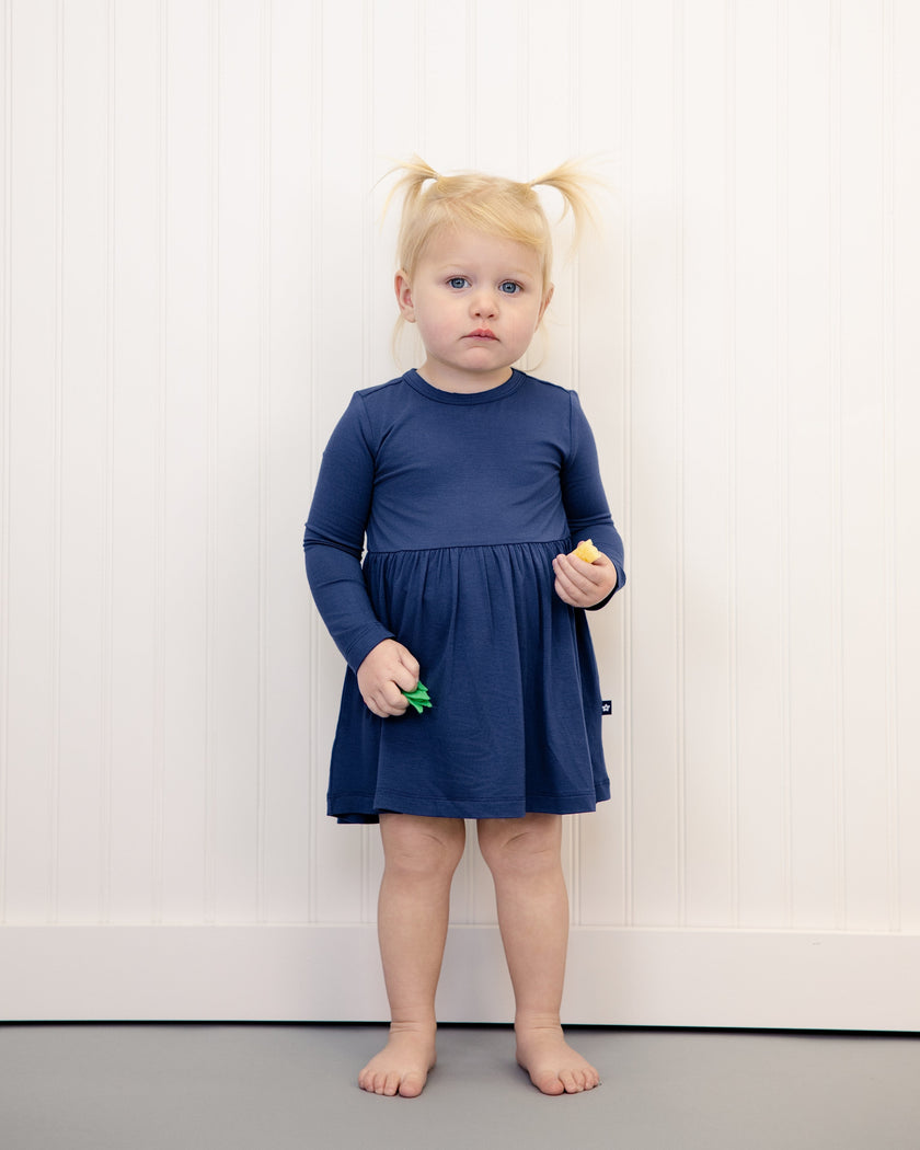 Long Sleeve Twirl Dress in Larkspur