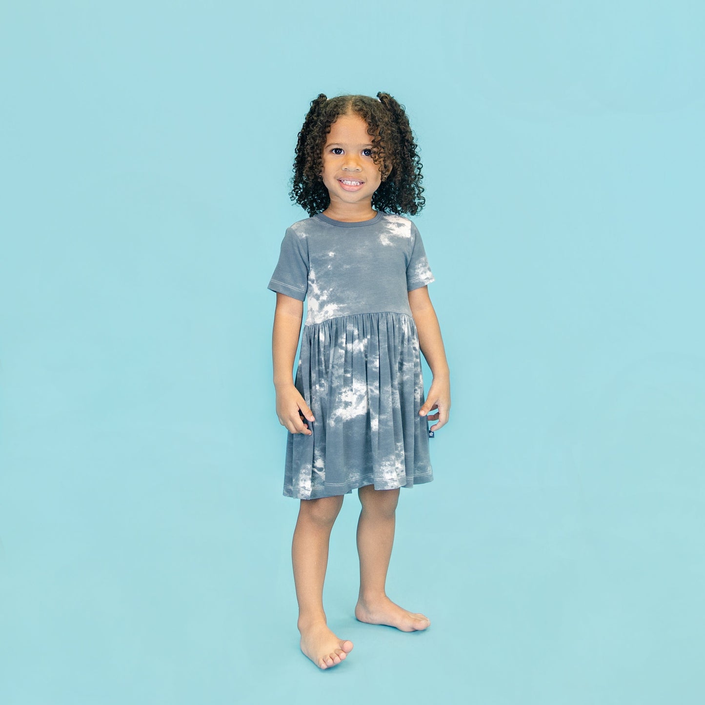 Twirl Dress in Dark Slate