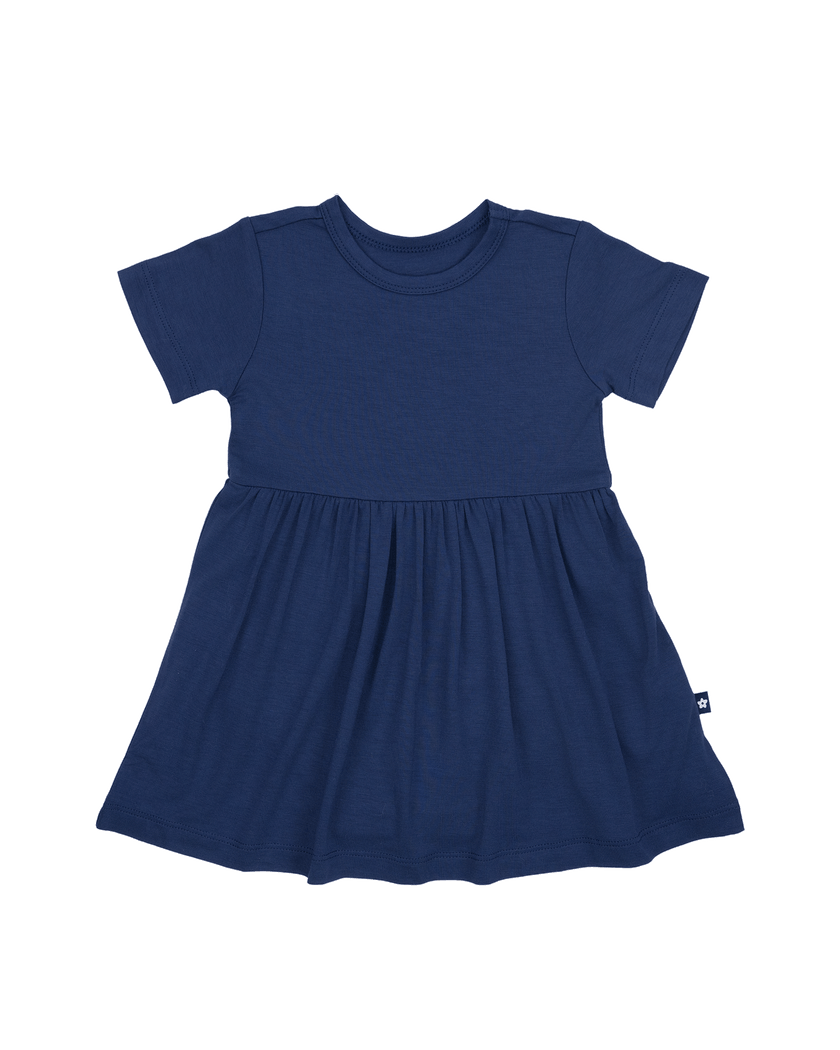 Twirl Dress in Larkspur