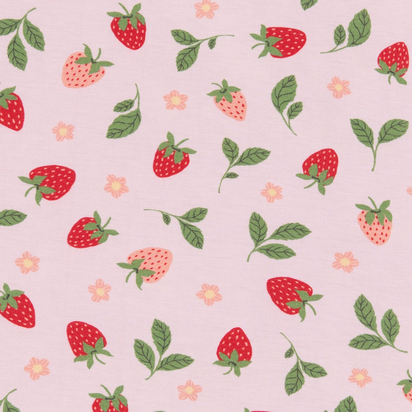 Jogger Set in Strawberry Fields